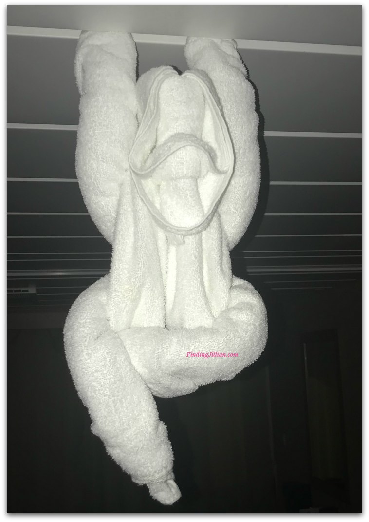 Towel Animal Souvenir Pics to Take on your Cruise FindingJillian Blog