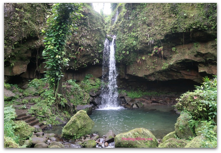 Emerald Pool Dominica 2018 Top Travel Moments FindingJillian Blog
