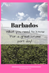 Pinterest Graphic Cruise Port Barbados