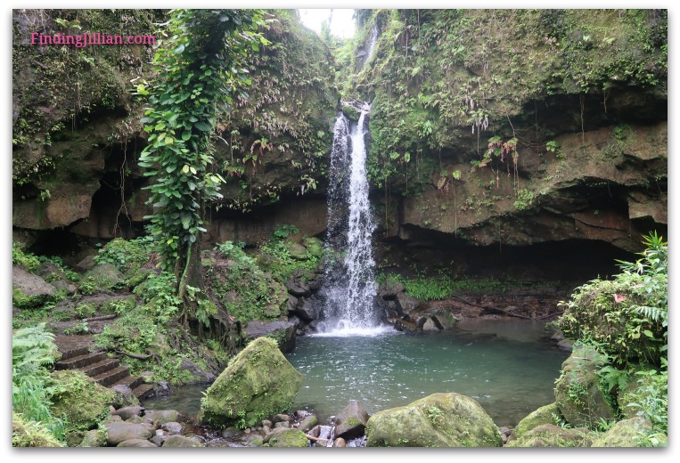 Image of Emerald Pool in Dominica - FindingJillian Blog