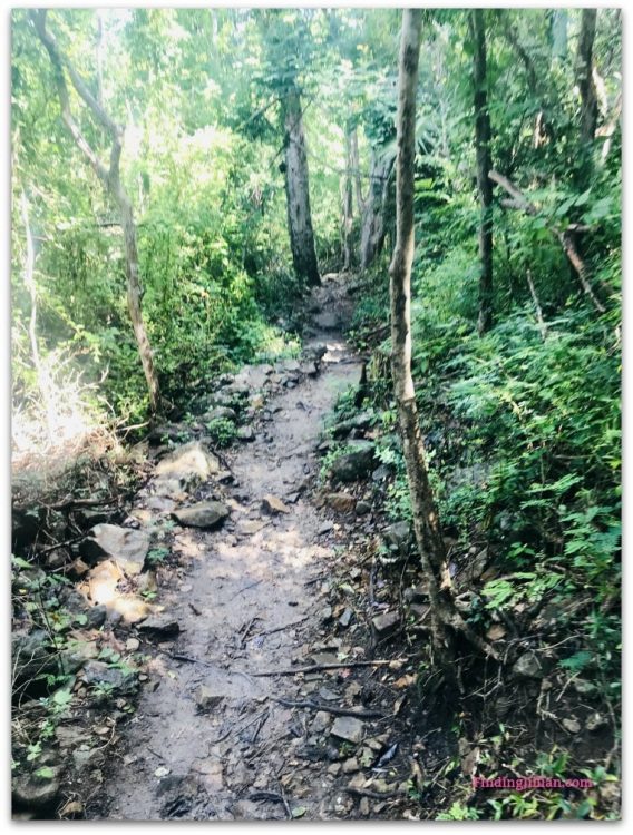 Image of muddy hike Lind Point Trail - Finding Jillian Blog