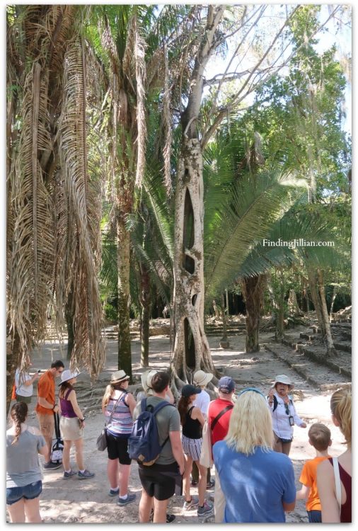 image of tour group chacchoben mayan ruins tour