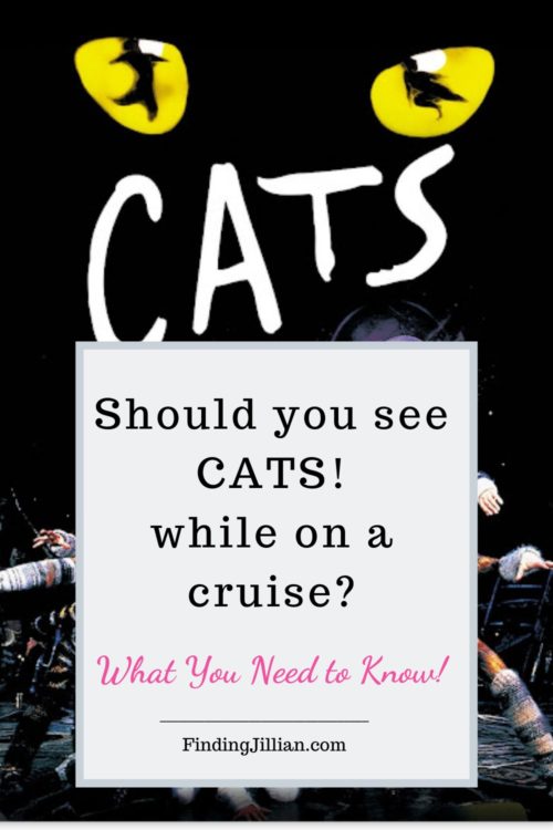 CATS on a Cruise Is it a good fit for you (or a cruise ship
