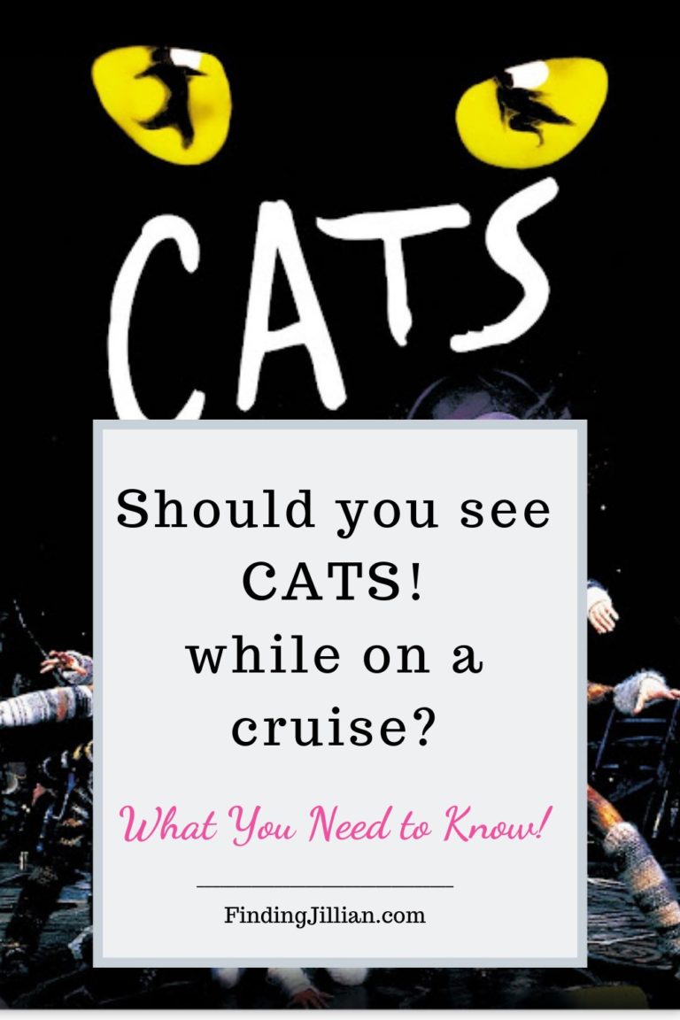 CATS on a Cruise Is it a good fit for you (or a cruise ship