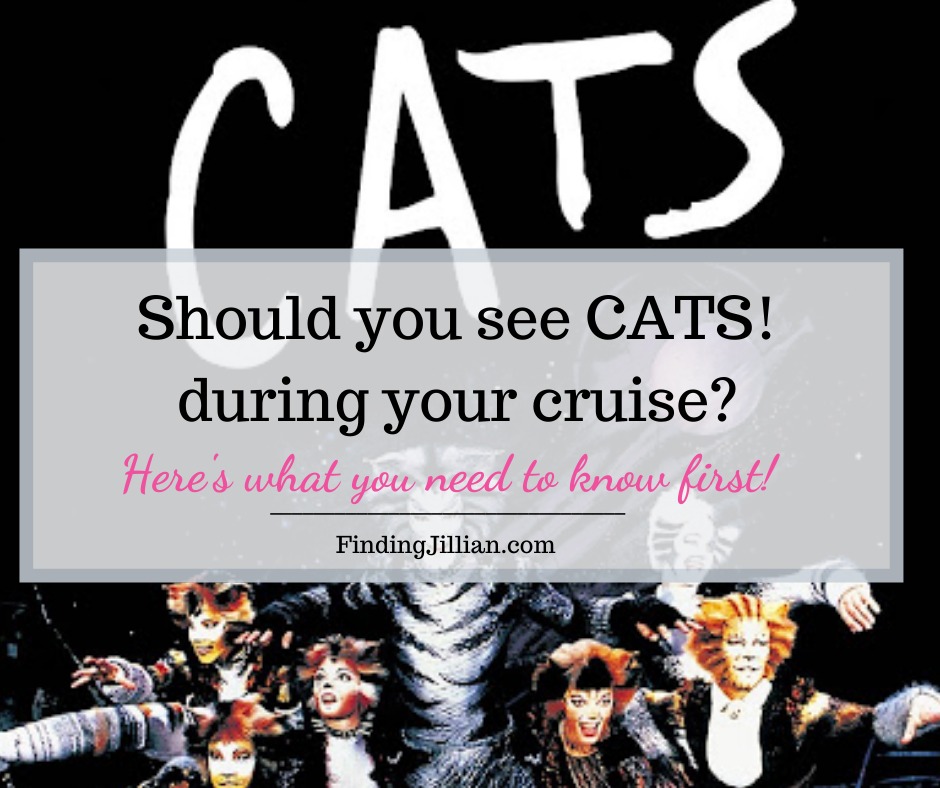 CATS on a Cruise Is it a good fit for you (or a cruise ship