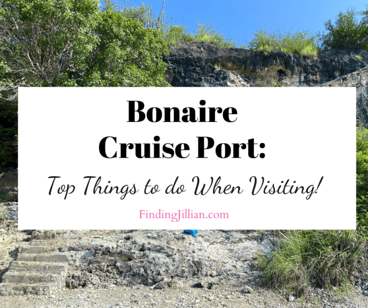 feature image for Bonaire Cruise port blog post