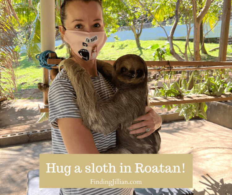 image of woman holding a sloth