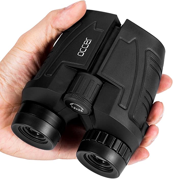 image of hand holding binoculars - Alaskan Cruise Essential packing list