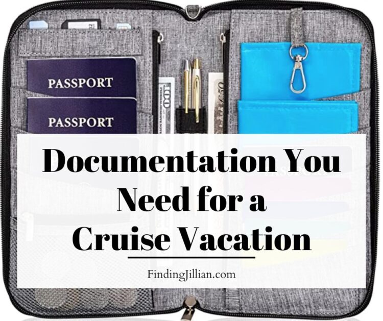 image of passport holder with text Documentation you need for a cruise